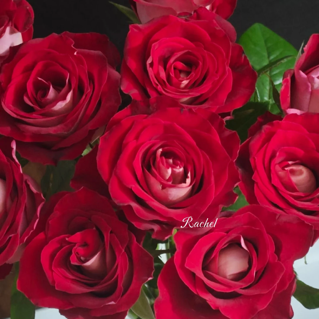 花花 冰上芭蕾玫瑰18支+2支防损 一单包邮两单升级快递 云南直发