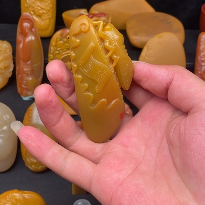 石英质玉未镶嵌颈饰