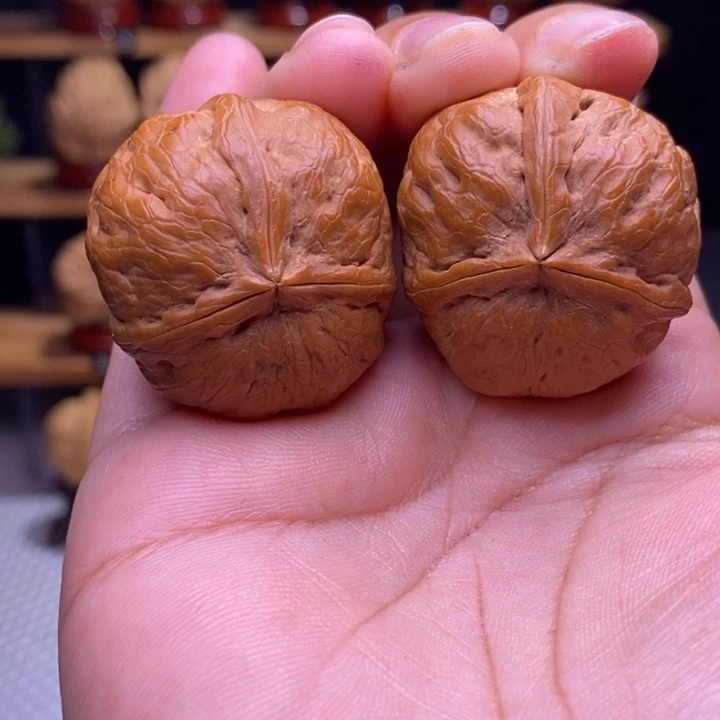 木质类云铁肌肉纹三棱36号