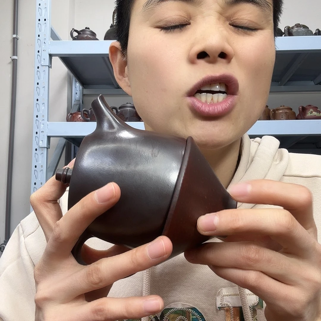 茶壶紫砂民间手艺人全手工制作