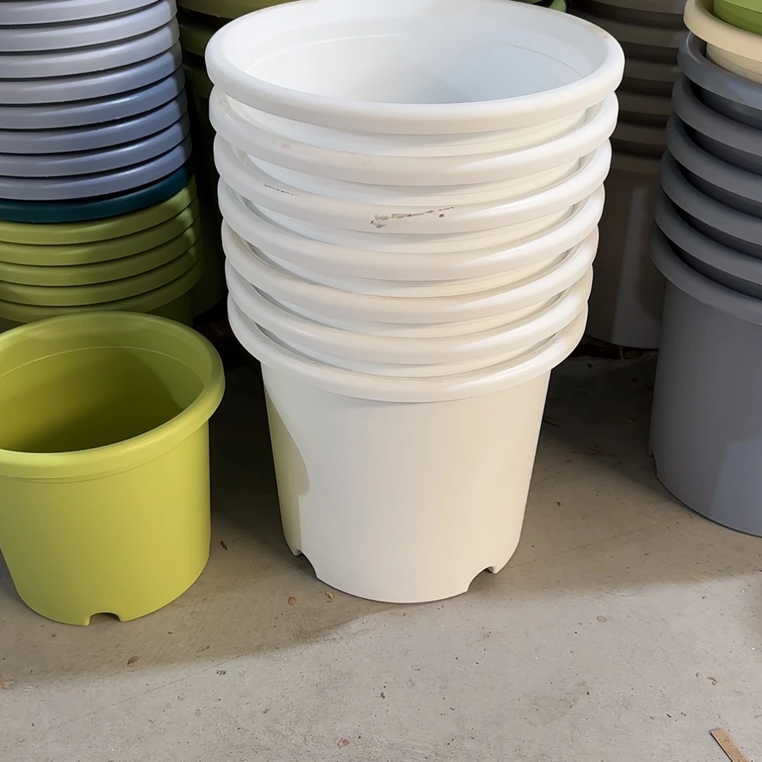 微瑕6号3个无托，白色