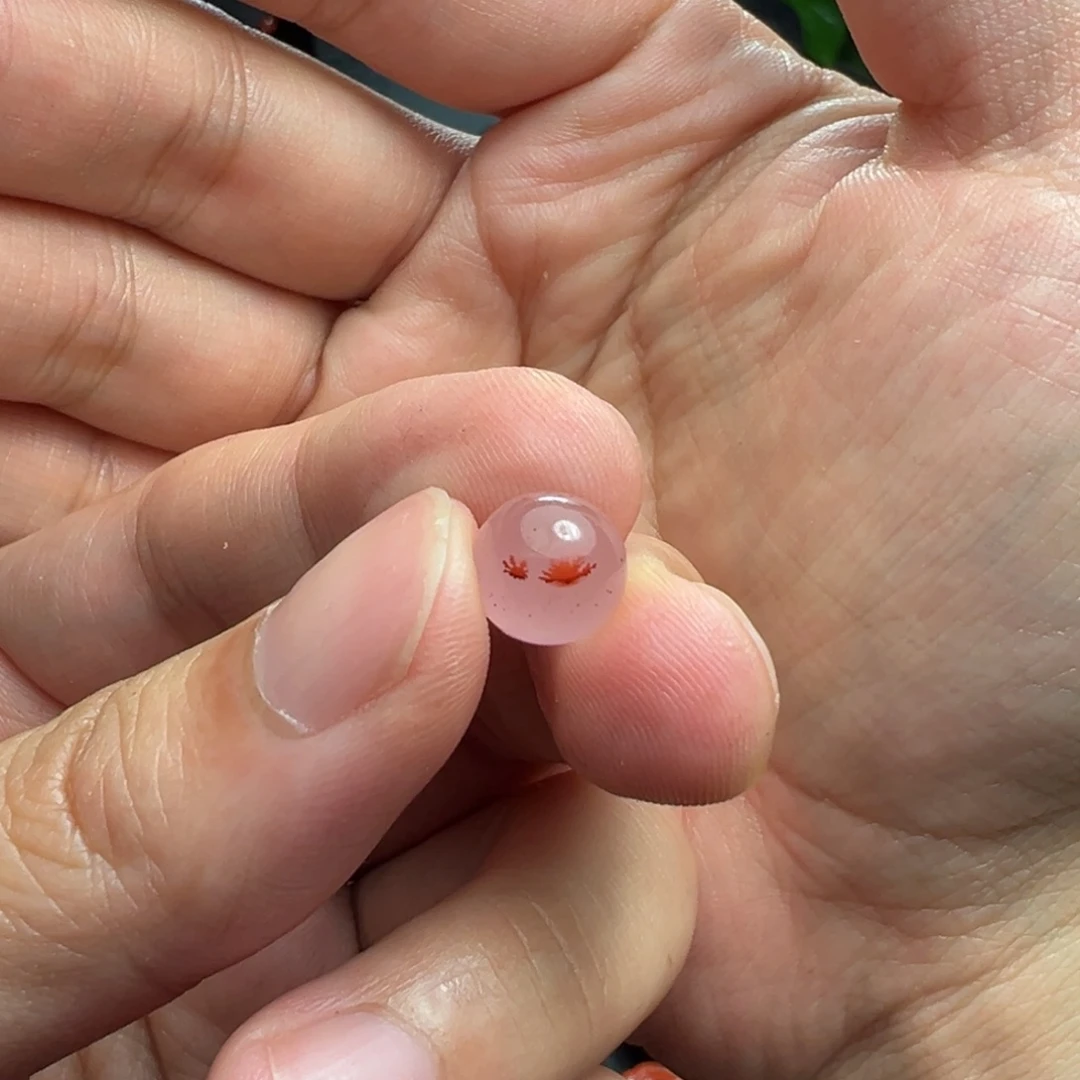 南红玛瑙未镶嵌颈饰