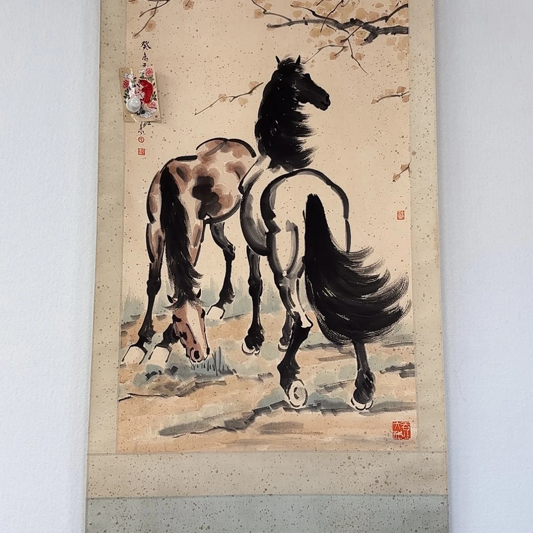 老张专拍专用链接