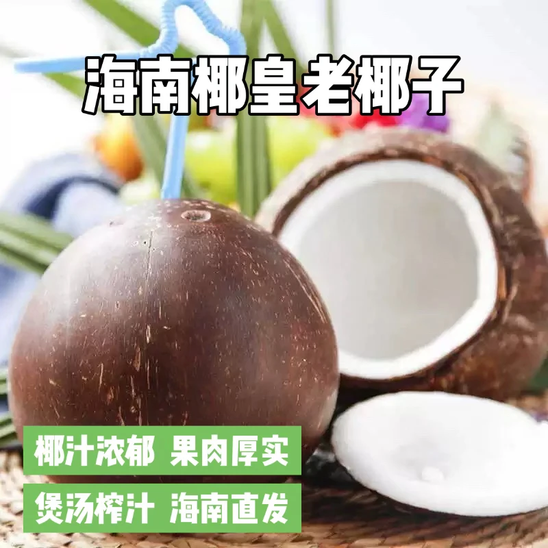海南新鲜黑壳牛奶椰皇抛光当季水果清甜椰汁可炖鸡汤老椰子包邮
