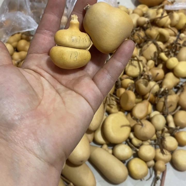 瑶***瑶摇一摇恭喜发财财