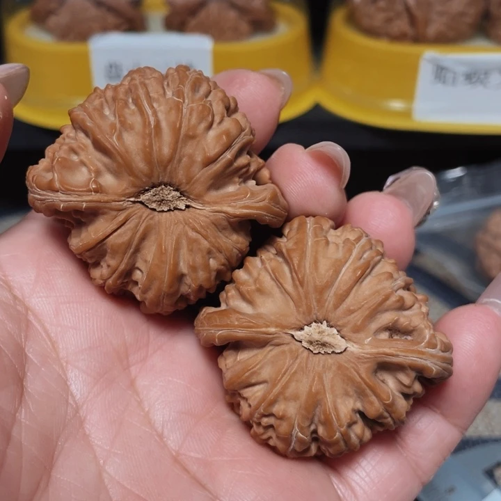 文玩核桃把件平*白狮子43