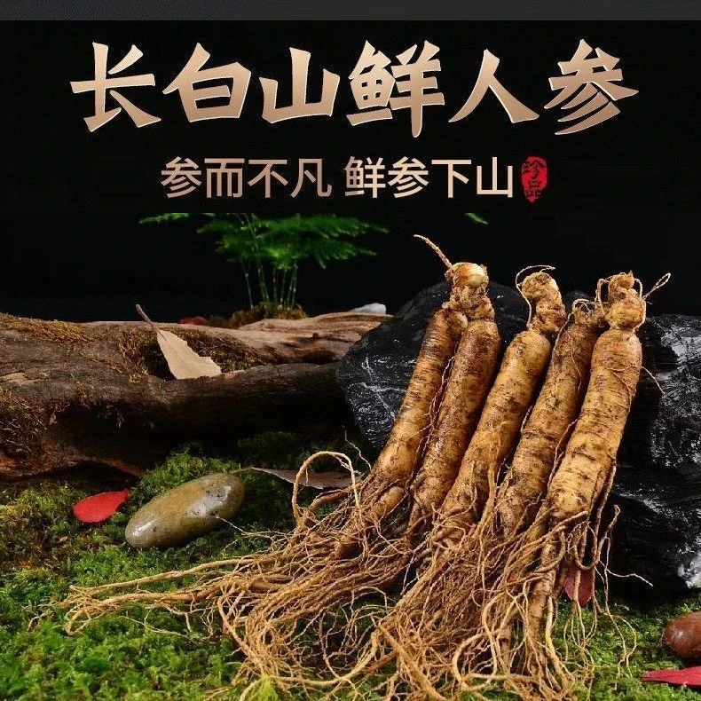 *长白山鲜参组合 代拍链接 现挖现发滋补养生泡酒 代客分装
