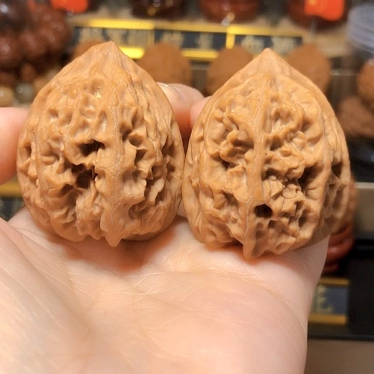野生小众：平谷火苗