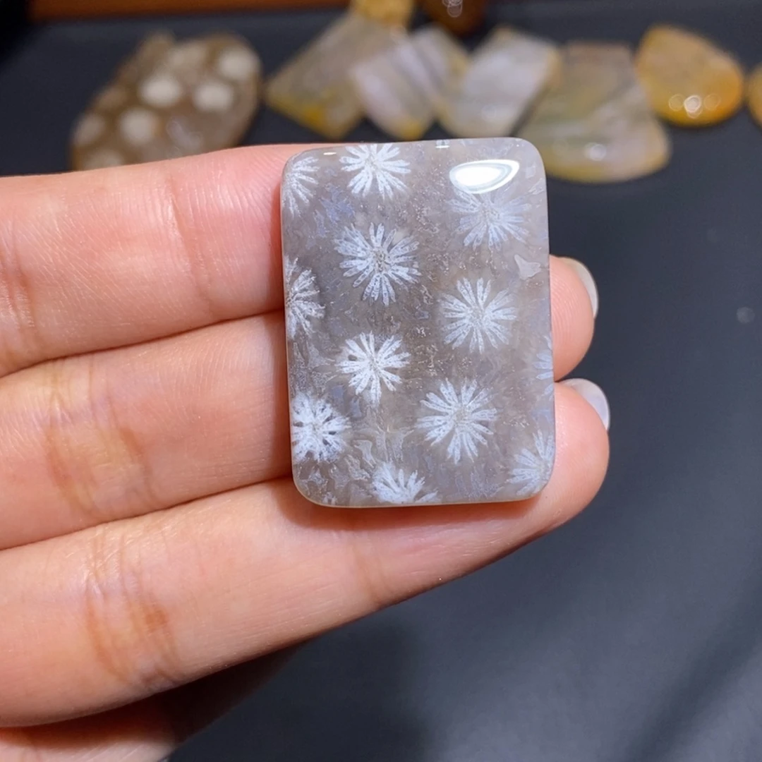 【闪购商品】未镶嵌珊瑚玉硅化玉