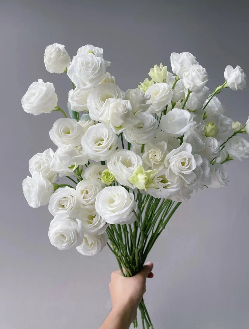 【花沫儿 白色洋桔梗链接】云南产地直发 | 新鲜采摘