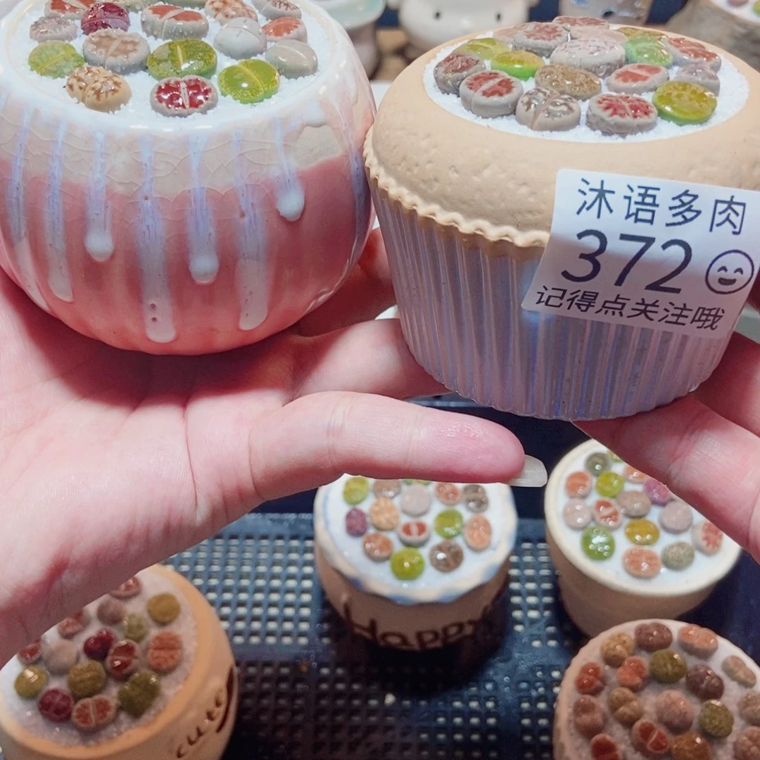 *****一物一拍 所见即所得372