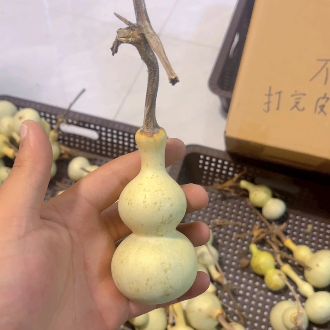 氕***氚感谢大哥支持兄弟，不保成