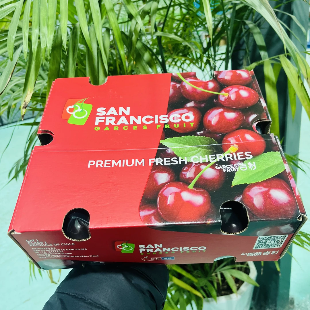 【吉制】JD加黑加大桑提娜 海运车厘子净重五斤只发山西内附果径卡