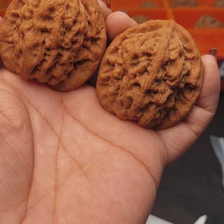 核桃金公子44尺核桃