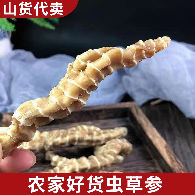 1斤 虫草参 农家好货