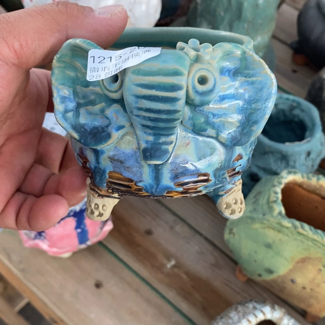 203号花盆内7.5高8