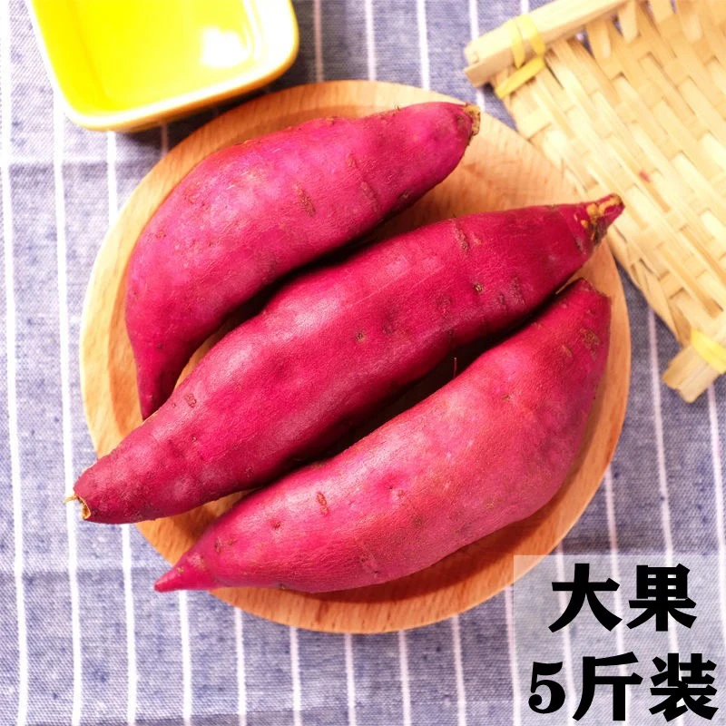 25年新鲜现挖香甜软糯小红薯粗粮辅食临安天目山小香薯5斤装 大果