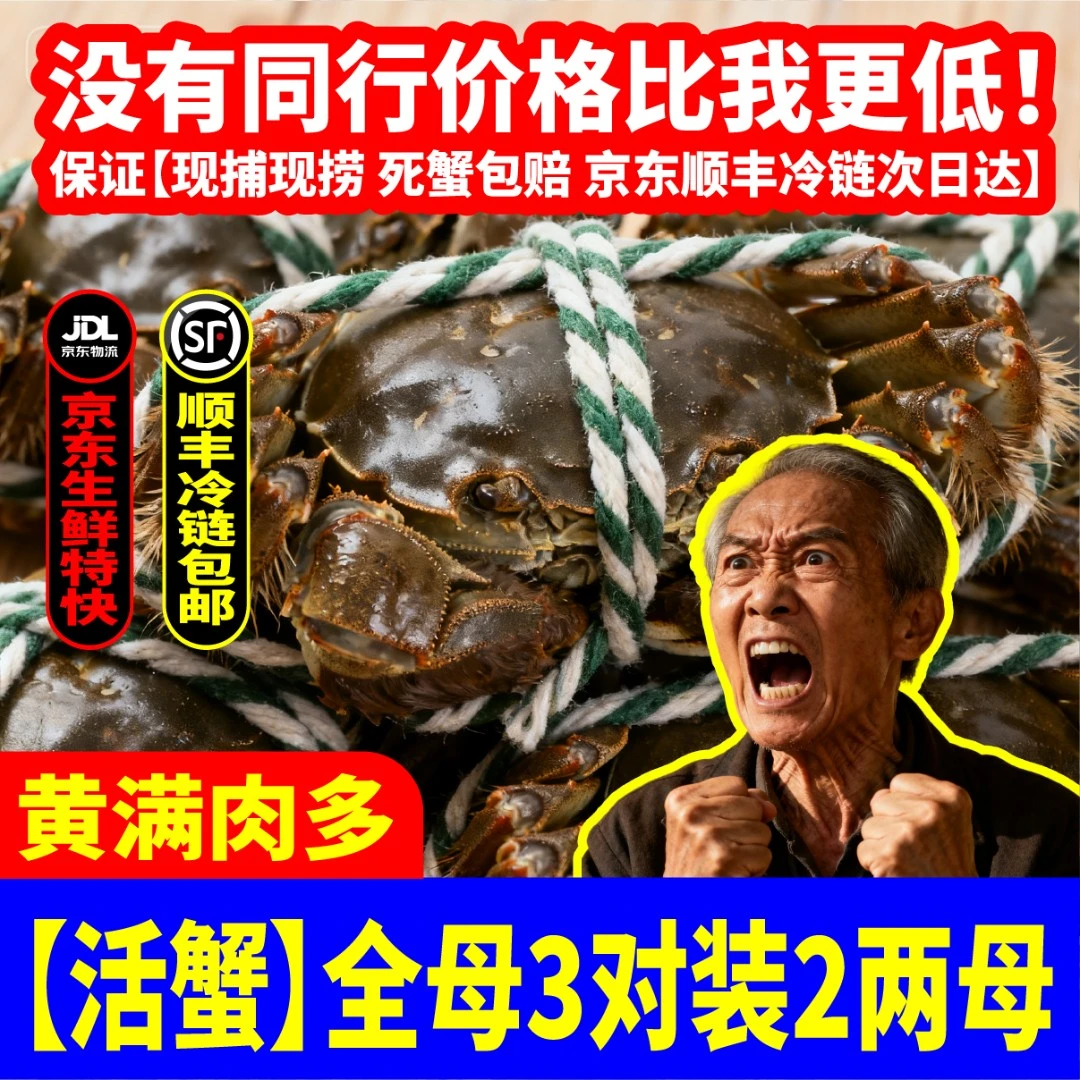 晋蟹府【活蟹】晋蟹府+山西黄河大闸蟹+母蟹2两6只海鲜