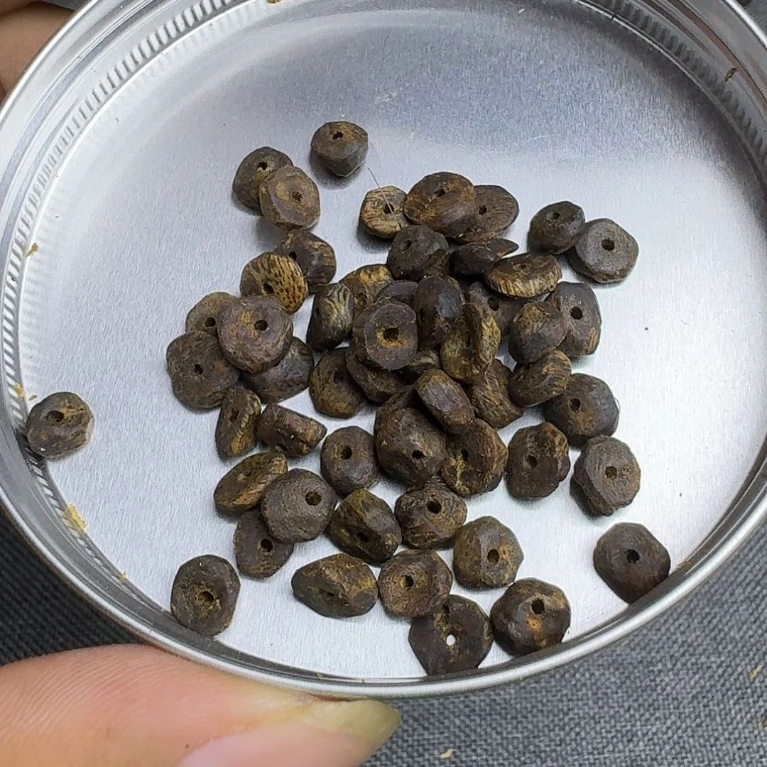 木白棋沉水壳子原材料5.2