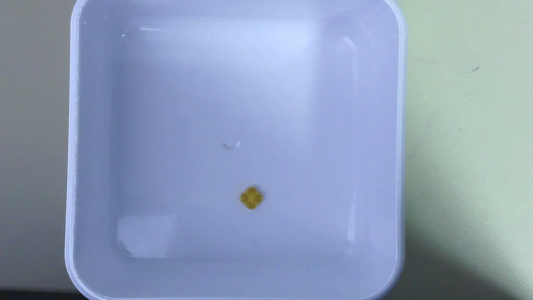 黄金足金小金 豆