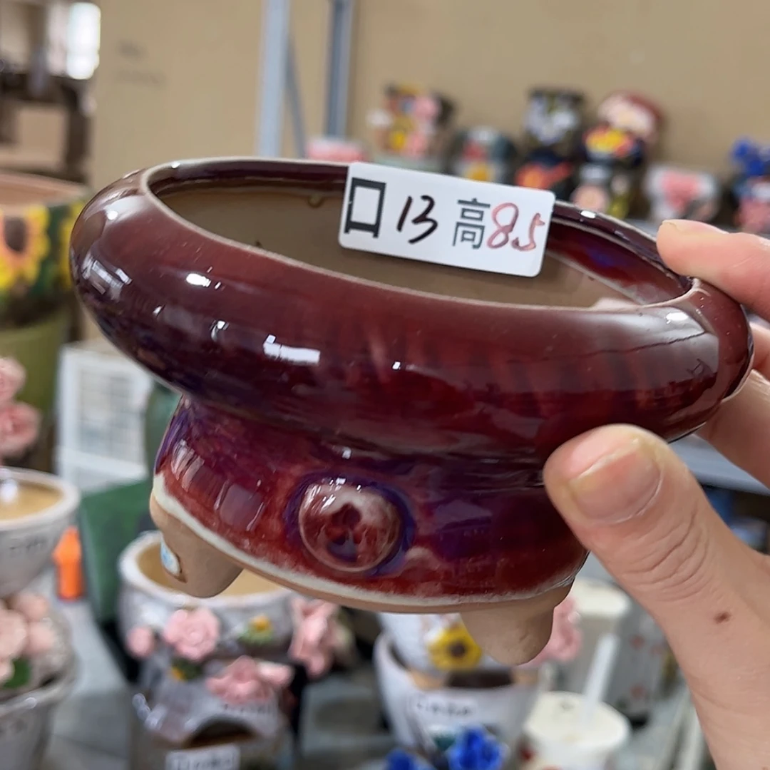 【闪购商品】红陶福利