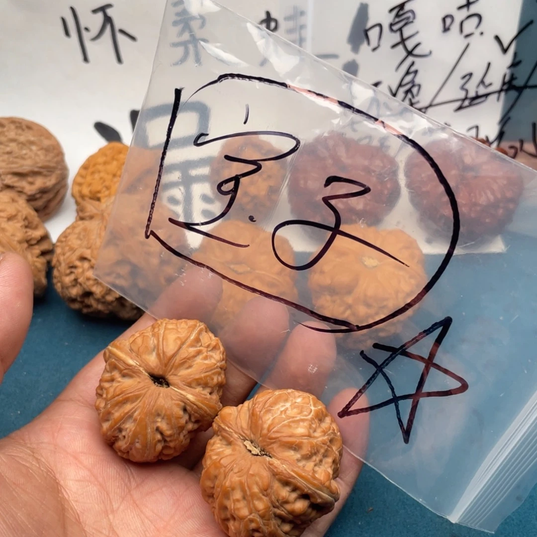 核桃794497974497749794