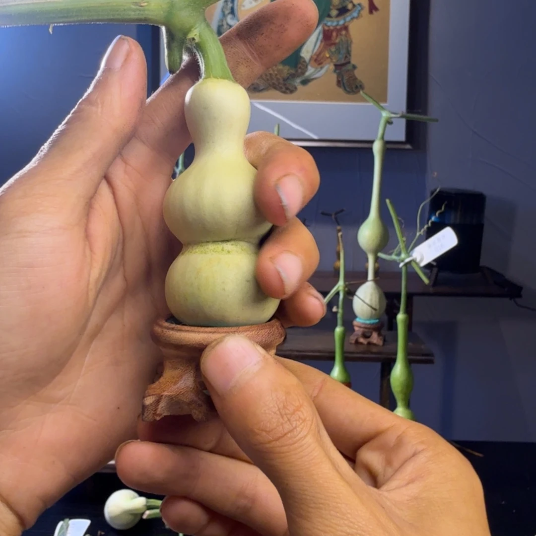 记***住發财精品葫芦闪购