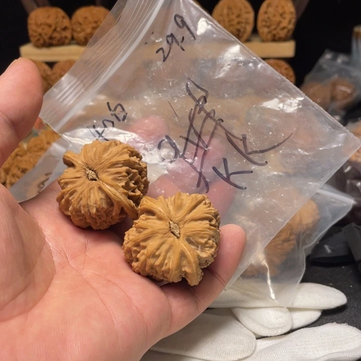 K***了文玩核桃把件白狮子