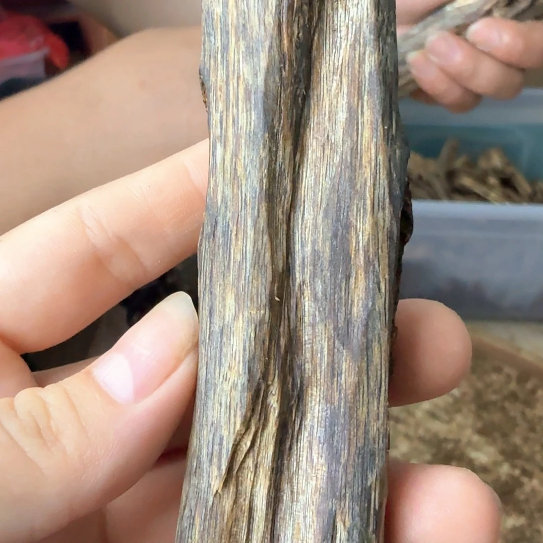 块料块料块料块料