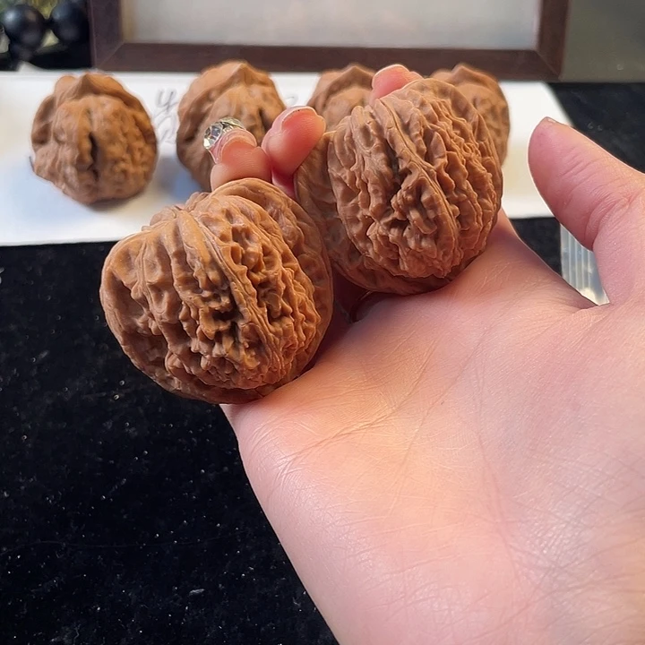 大叶紫檀（黑酸枝木类）