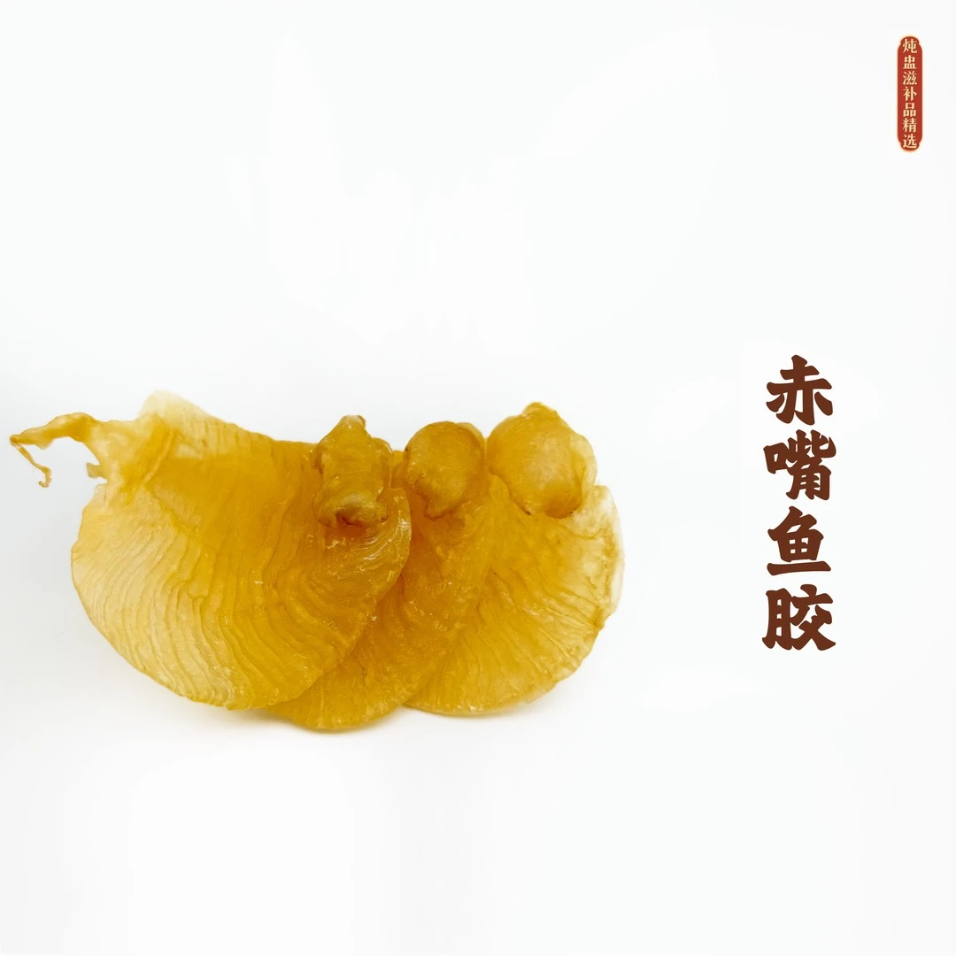 赤嘴鱼胶赤嘴胶鱼胶花胶海产