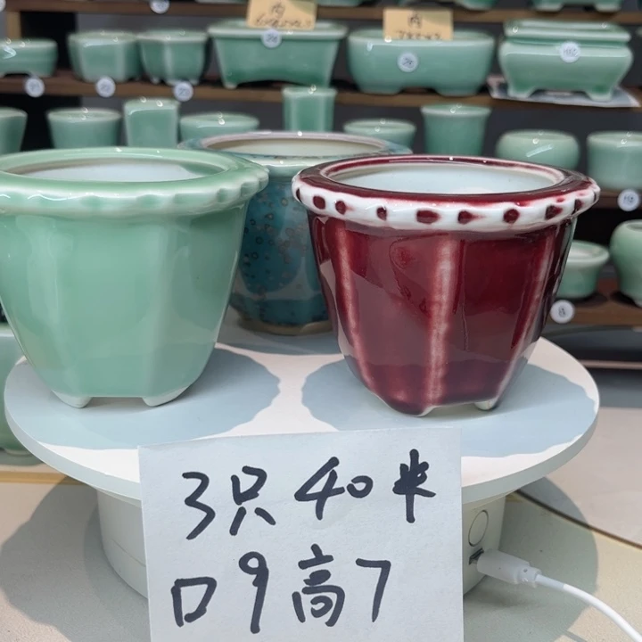 盆心缘小花盆3只（默认微瑕）