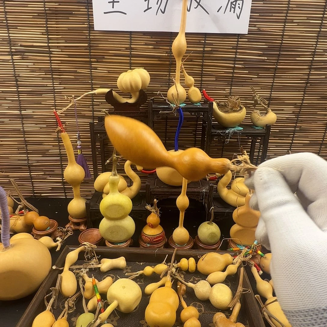 淮***哥葫芦葫芦葫芦过来
