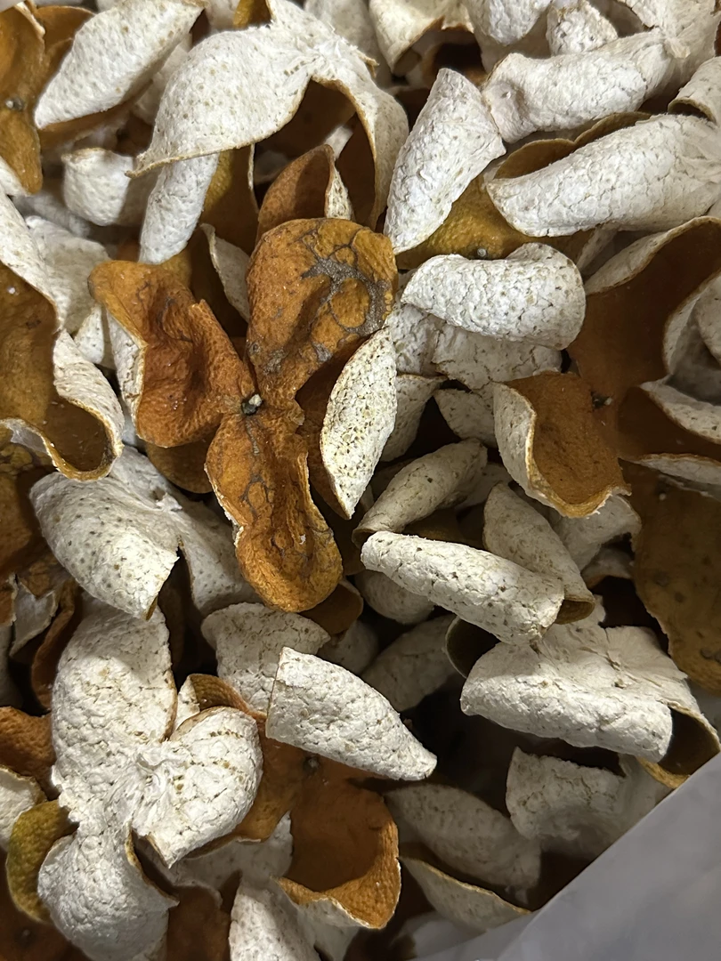 【经济实惠款】正宗新会陈皮果农直售老树冬后大红皮