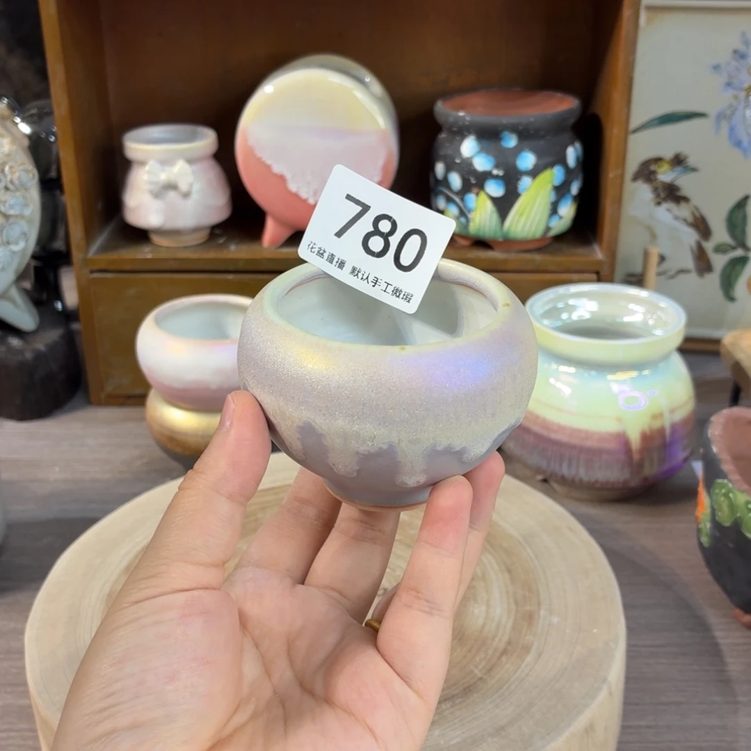 蜡***子花盆花盆花盆花盆炫彩