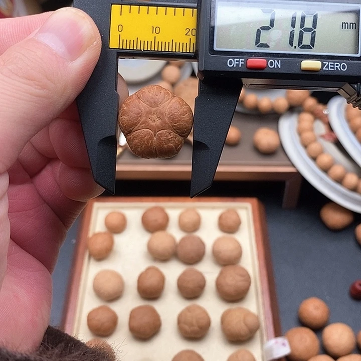 吊坠凤眼菩提尼泊尔菩提五星21.8