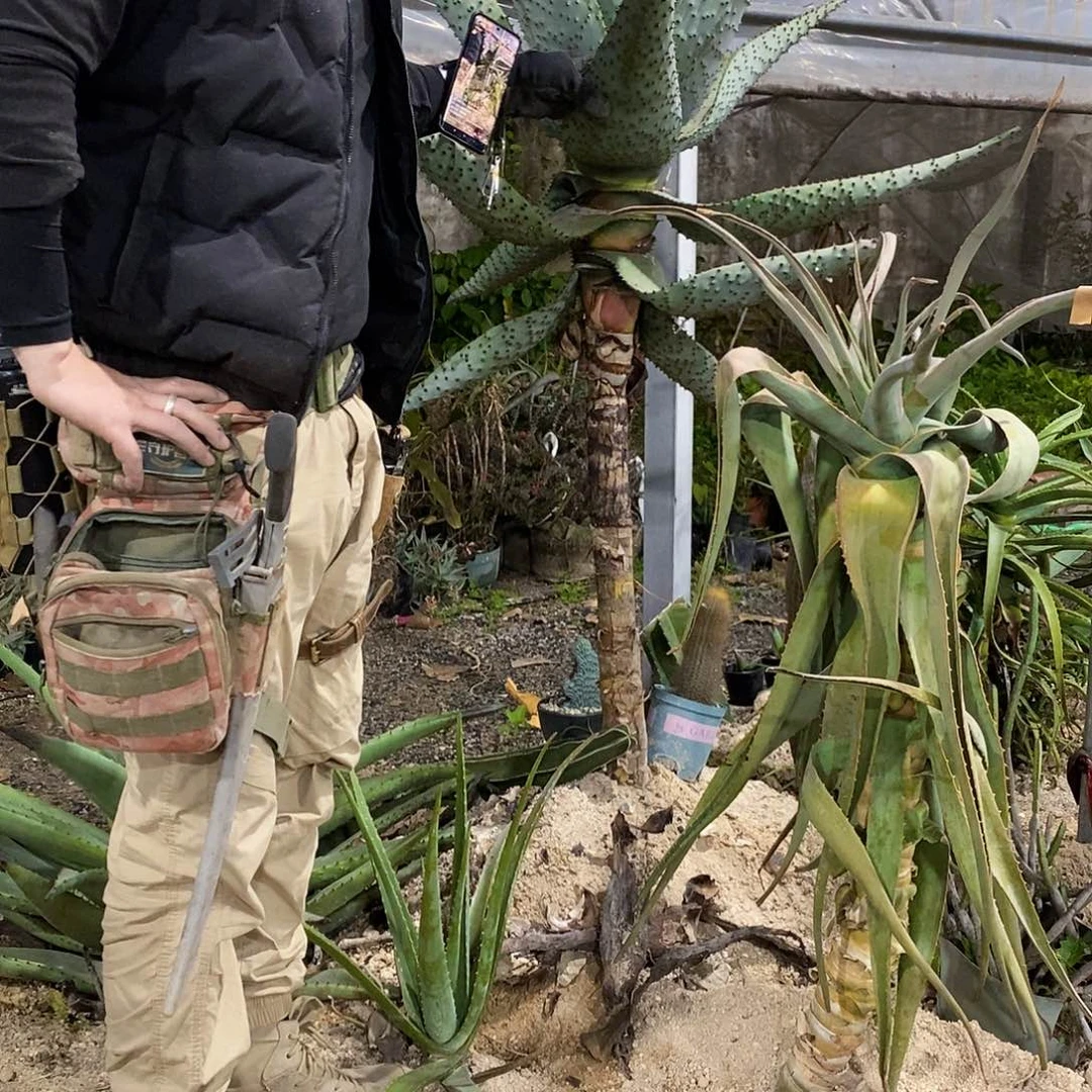 林***风57号拍品。