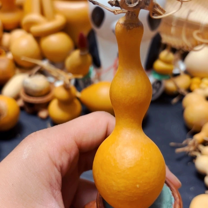 崔*o88888888999998888888