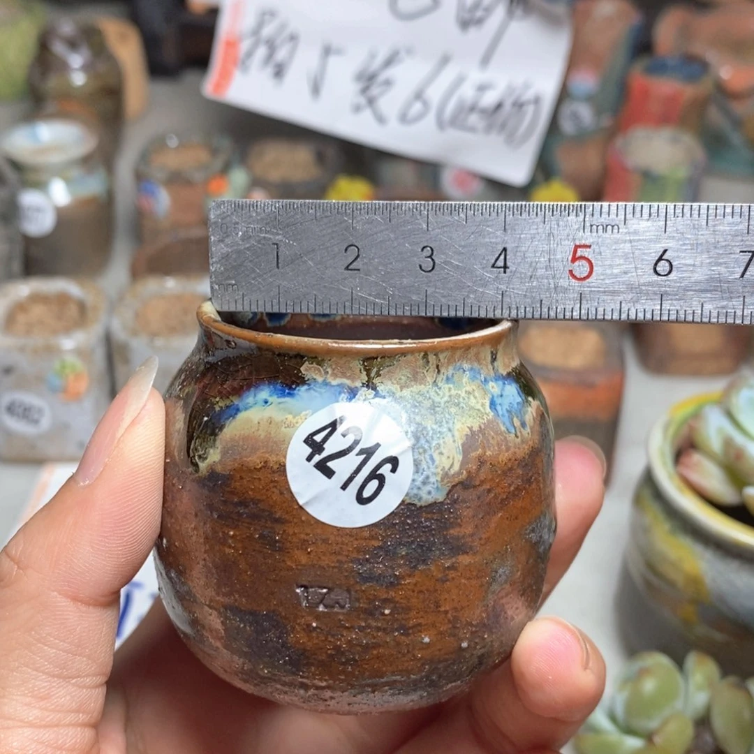 拍5送一个小礼物