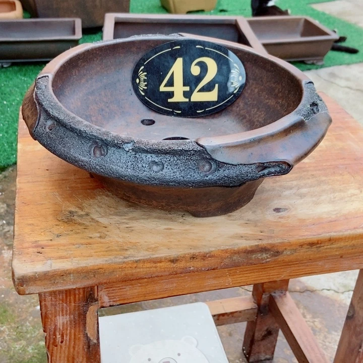 无***提杨冬益紫砂花盆5788