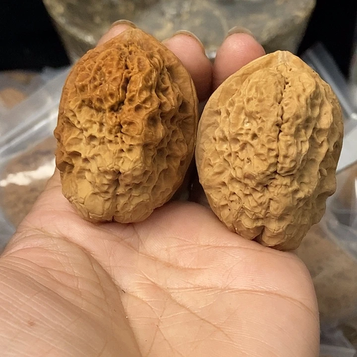 文玩核桃把件云南铁核桃基地95