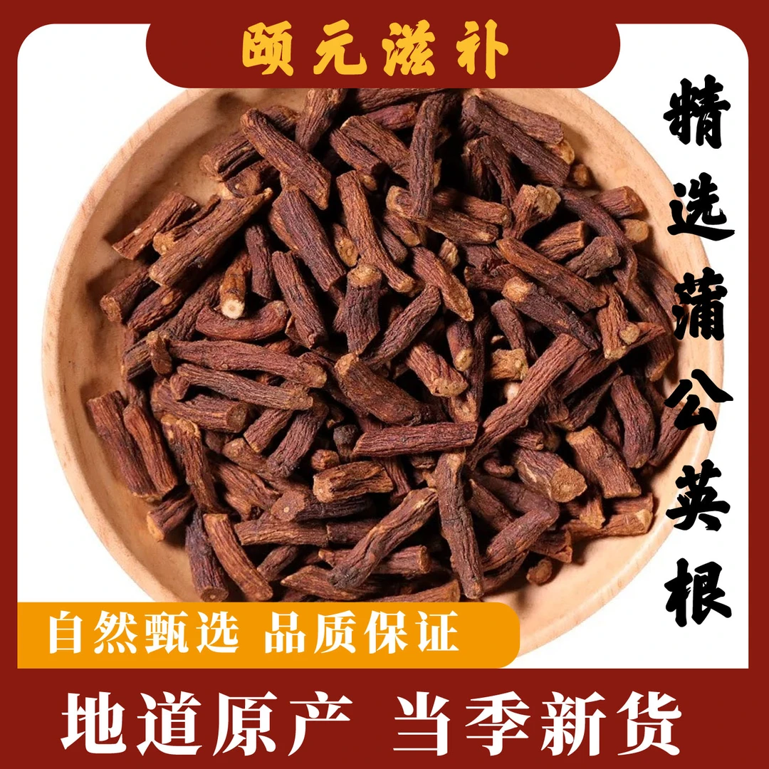 精选蒲公英根长白山泡水煮水