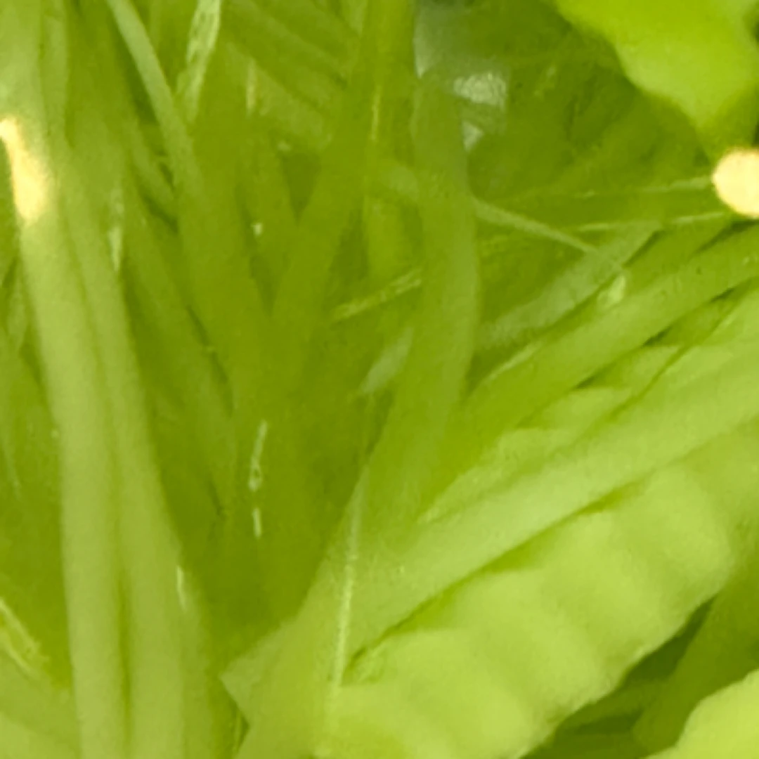 莴笋丝和莴笋条（酱香拌菜自选菜品）