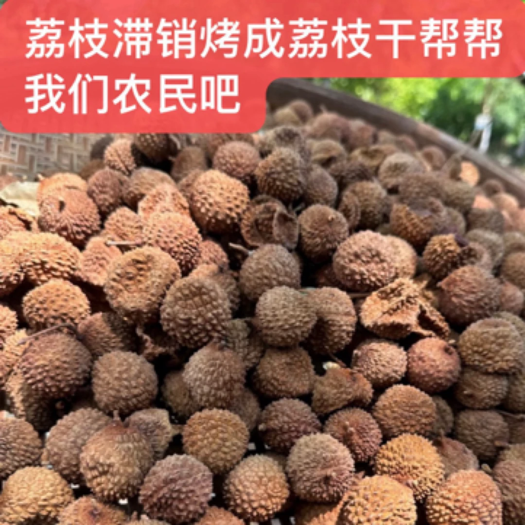 广西灵山特产桂味荔枝干核小肉厚包邮袋装