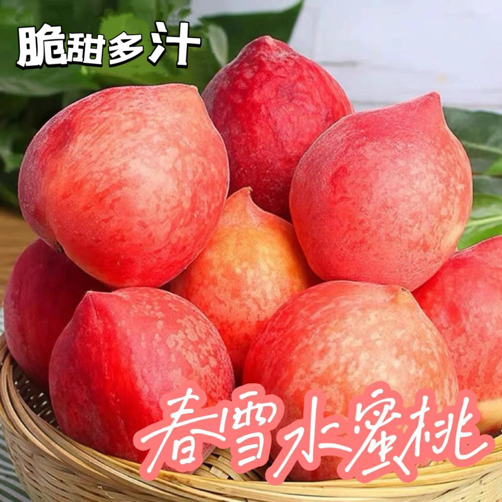 新鲜直发爆汁当天多汁脆甜口口脆春雪水蜜桃现摘现发水果果园包邮