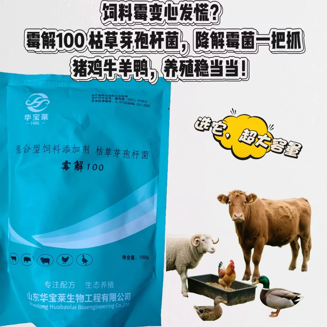 畜牧添加剂！猪鸡牛羊鸭通用！！霉解100去霉剂✅超大容量两斤装