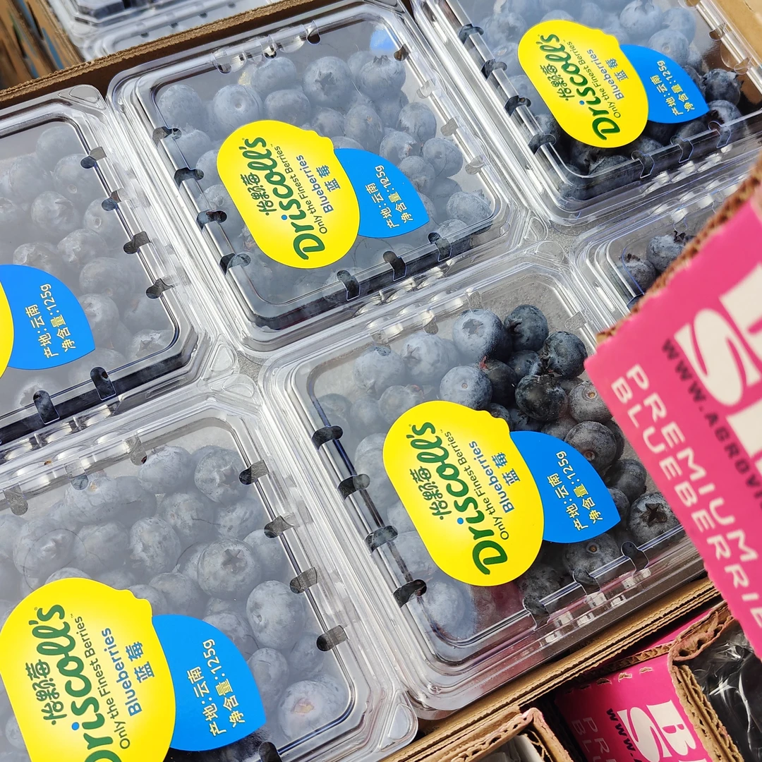 怡颗莓 14mm 中果 1.5Kg 009系列 花香蓝莓新鲜云南省