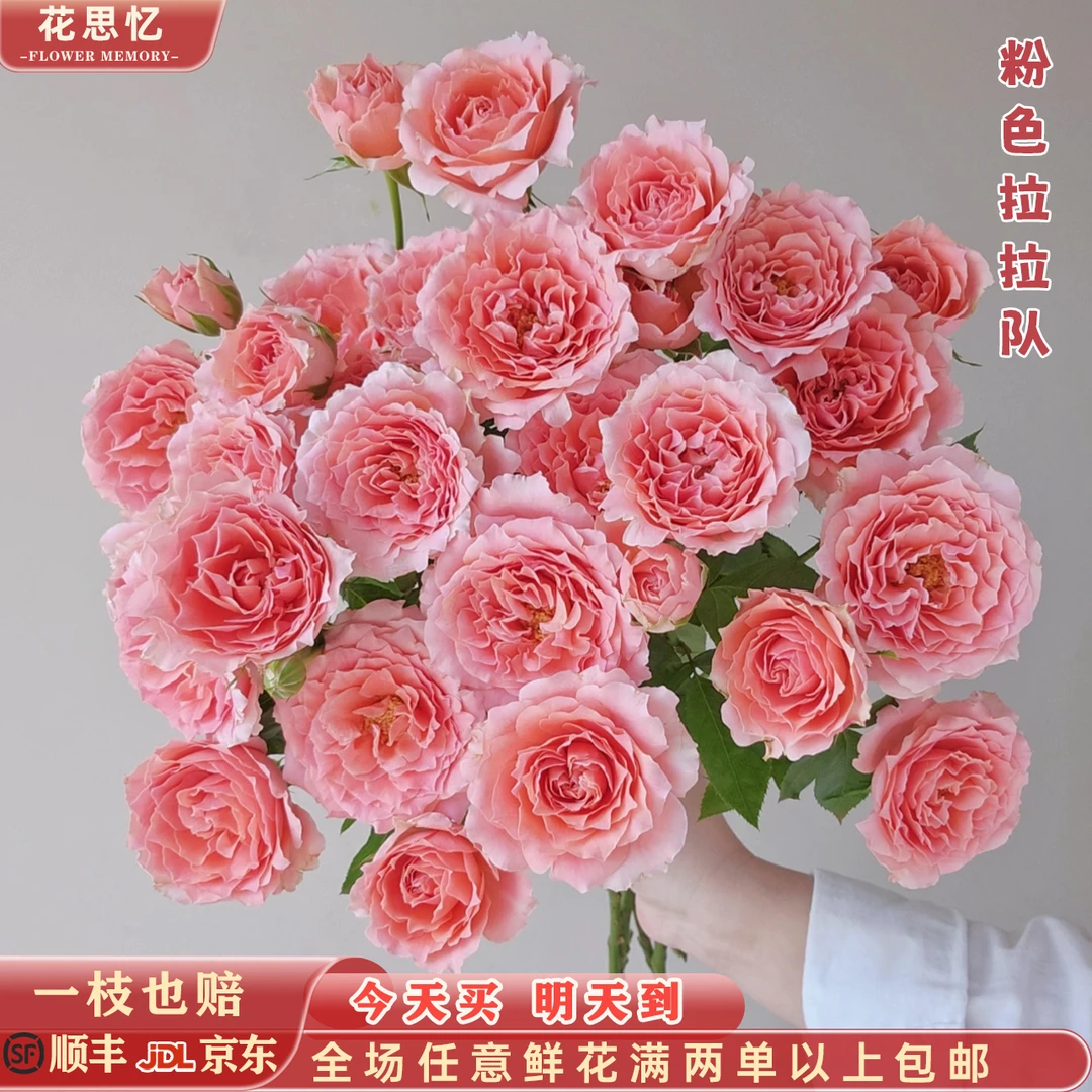 『粉色拉拉队多头玫瑰5枝』家居养花 全场满两单鲜花顺丰京东包邮 三单鲜花送玻璃花瓶一个鲜花直播批发次日达