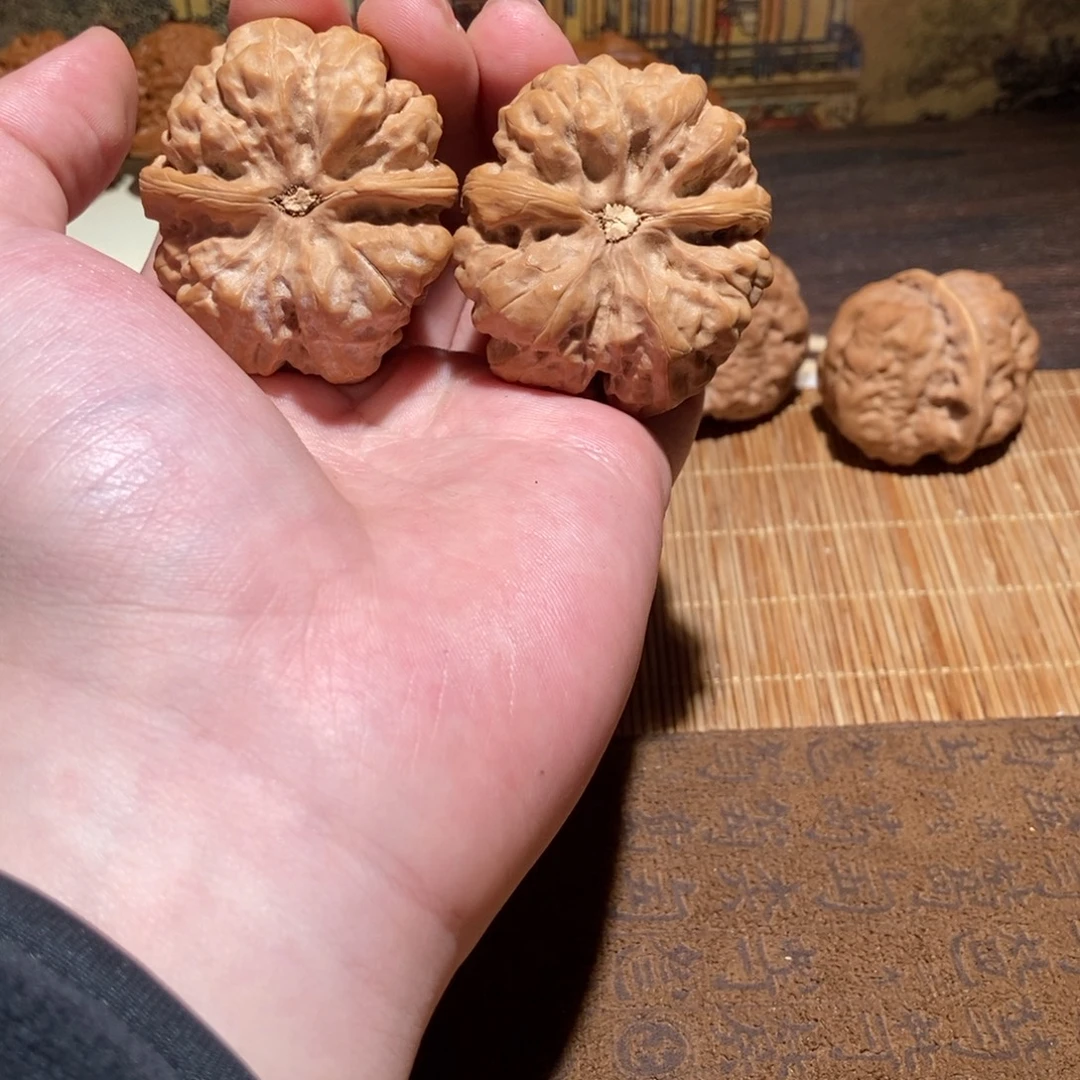 游***闲大叶紫檀（黑酸枝木类）蛤蟆头核桃D20