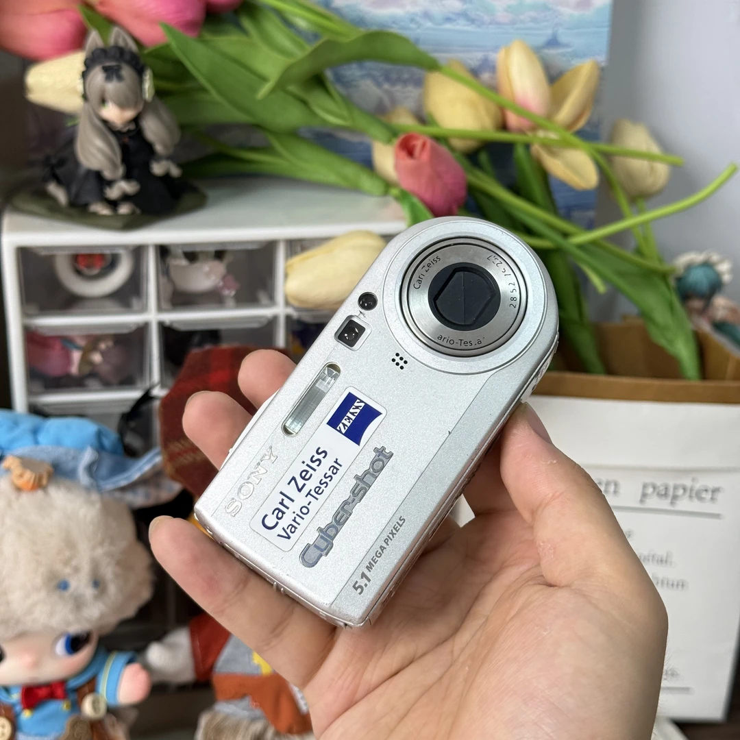 9新 Sony/索尼 索尼p100易梦玲同款色彩感好滤镜多适合新手带配件